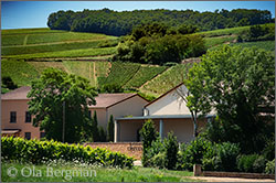 Domaine Cheveau in Solutré-Pouilly, Burgundy.