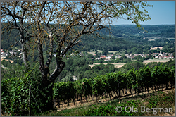 Bourgogne Hautes-Côtes de Nuits vineyards in Villars-Fontaine, Burgundy.