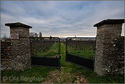 Domaine Pierre Gelin - Fixin premier cru Clos Napoléon, Burgundy.