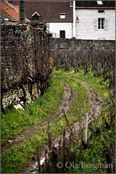 Domaine Pierre Gelin - Gevrey-Chambertin, Clos de Meixvelle, Burgundy.