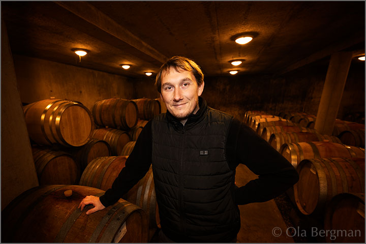 Pierre-François Maldant at Domaine Jean-Pierre Maldant, Ladoix-Serrigny, Burgundy.