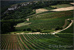 Orches, Burgundy.