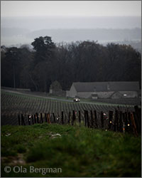 Montagny premier cru Vignes du Soleil.