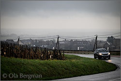 Montagny premier cru Mont Cuchot.