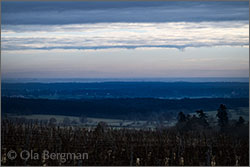Montagny premier cru Les Vignes Longues.