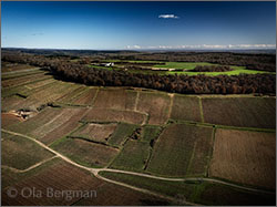 Saint-Romain, Burgundy.