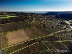 Saint-Romain, Burgundy.