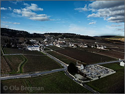 Volnay, Burgundy.