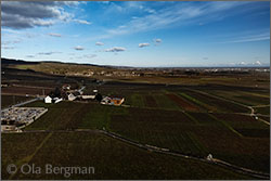 Volnay, Burgundy.