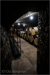 Domaine Jean-Marc & Hugues Pavelot in Savigny-lès-Beaune, Burgundy.