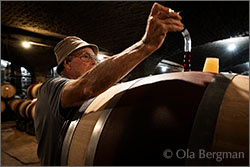 Jean-Marc Pavelot at Domaine Jean-Marc & Hugues Pavelot in Savigny-lès-Beaune, Burgundy.