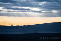 Pouilly-Fuissé premier cru Vers Cras.