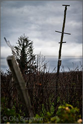 Domaine du Chétif Quart in Cercot, Burgundy.