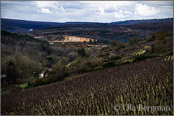 Pommard, La Chanière.