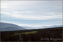 Mâcon-Villages, Sur le Four.