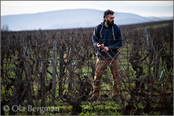 Thibaut Pariset at Domaine de l’Aubraine in Saint-Gengoux-de-Scissé, Burgundy.