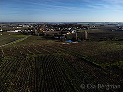 Chambolle-Musigny premier cru, Les Amoureuses.