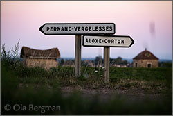 Savigny-lès-Beaune premier cru, Les Lavières.