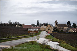 Morey-Saint-Denis, view from Chambolle-Musigny.