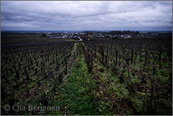 Chambolle-Musigny premier cru, Les Hauts-Doix.