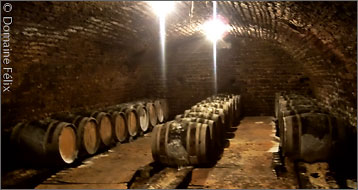 The cellars of Domaine Félix in 